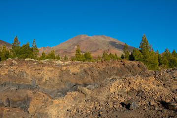 Fototapeta na wymiar Pico viejo volcano crater above the pine trees
