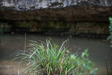 rivière sous la roche
