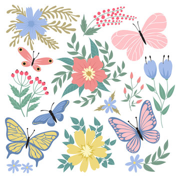 Butterflies and flowers. Hand drawn vector summer and spring collection. Illustration of summer butterfly and colored flower