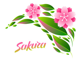 Background with sakura or cherry blossom.