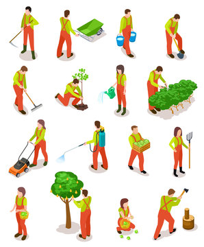 Isometric gardeners. Farmers work in garden. People in farming rural scene with trees and plants. 3d vector characters isolated. Illustration of plant isometric, work and farming