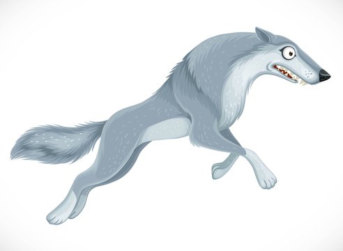 Wild cartoon gray wolf jump forward isolated on white background