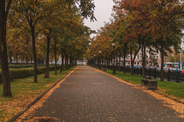 autumn street