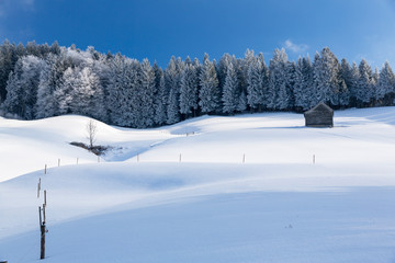 Winterlandschaft Rorschacherberg