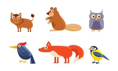 Collection of wild forest animals, boar, beaver, owl, owlet, woodpecker, fox, tit bird vector Illustration