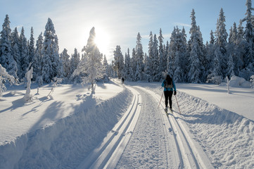 Woman and man skiing, skislopes, winter in Norway