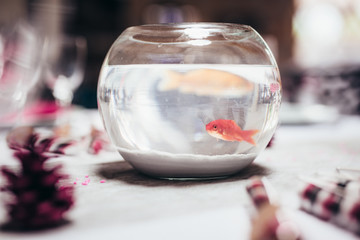 Decoration fish, festive and vintage decoration for wedding, romantic and rustic receptions
