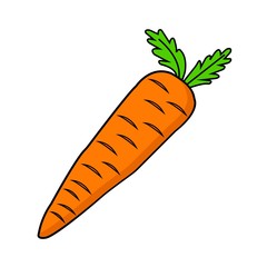 Flat icon orange line carrot isolated on white background. Vector illustration.