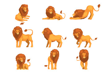 Proud powerful lion character in different actions set of cartoon vector Illustrations on a white background © topvectors