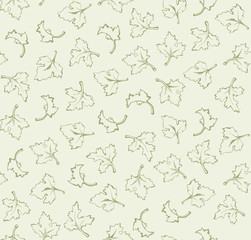 Parsley. Vector background