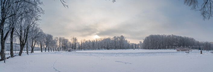 snowy winter forest