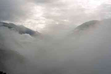 Forested mountain slope in low lying cloud with the evergreen conifers shrouded in mist in a scenic landscape view