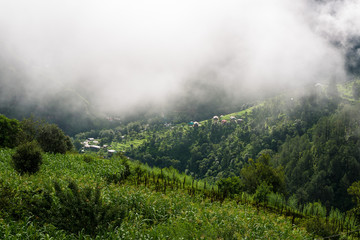 Fototapeta na wymiar Mountain in the cloud and fog, Himachal