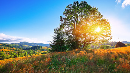 Fototapeta premium Beautiful countryside landscape with forested hills and haystacks on a grassy rural field in mountains