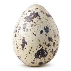 quail egg, isolated on white background, clipping path, full depth of field