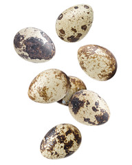Obraz premium Falling quail egg, isolated on white background, clipping path, full depth of field