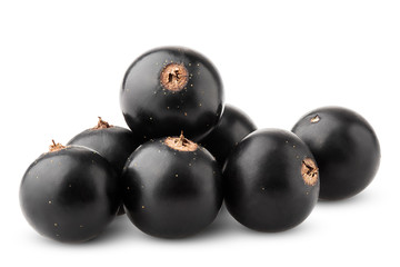 Black currant isolated on white background, clipping path, full depth of field