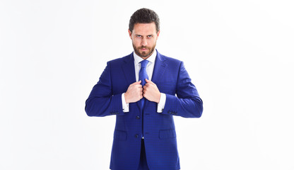 Businessman concept. Confident businessman isolated on white background. Bearded businessman in...