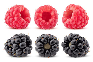 raspberry, blackberry isolated on white background, clipping path, full depth of field