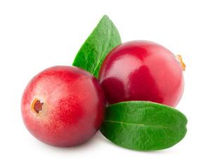 cranberry isolated on white background, clipping path, full depth of field