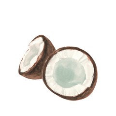 split white coconut nut into two halves