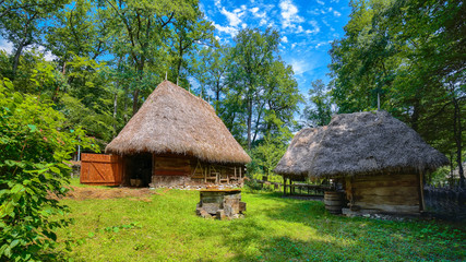 Fototapeta na wymiar View of traditional romanian peasant houses in Transylvania, Romania.