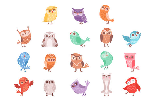 Cute cartoon colorful owls set, lovely owlets vector Illustrations