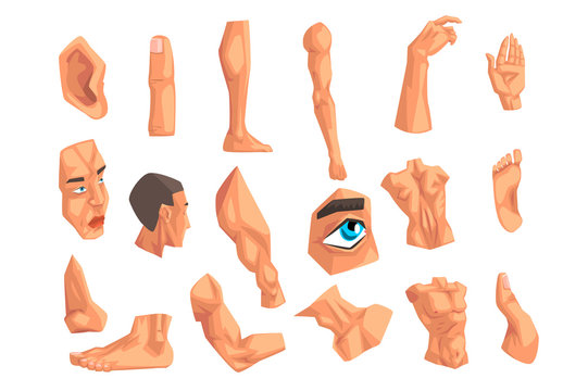 Male body parts set of vector Illustrations on a white background