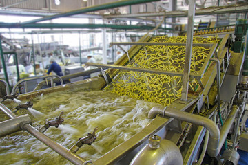 Green beans on conveyor belt in a food processing plant. Water sprays green beans, unrecognizable workers in a factory in the background