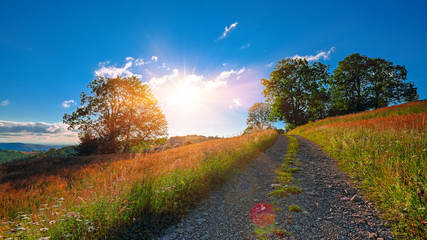 Majestic countryside landscape with forested hills and grassy meadows in mountains