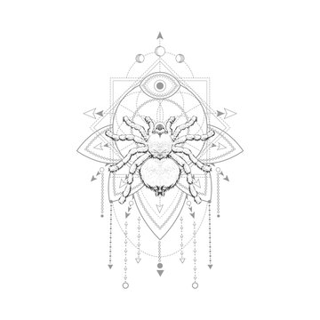Vector illustration with hand drawn spider and Sacred geometric symbol on white background. Abstract mystic sign. Black linear shape. 