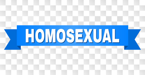 HOMOSEXUAL text on a ribbon. Designed with white title and blue stripe. Vector banner with HOMOSEXUAL tag on a transparent background.