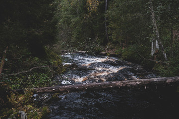 Fototapeta premium Travel in Karelia 