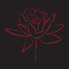 One line drawing flower, vector illustration