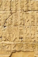 Ancient egyptian hieroglyphs carved on the stone in the Karnak Temple