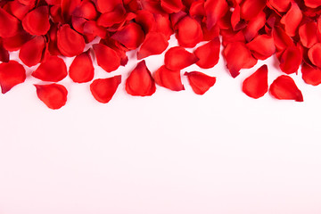 Romantic happy valentines day greeting card, wedding invitation, women's day concept. white background covered with deep red, scarlet, crimson rose petals. Close up, top view, copy space, mock up.