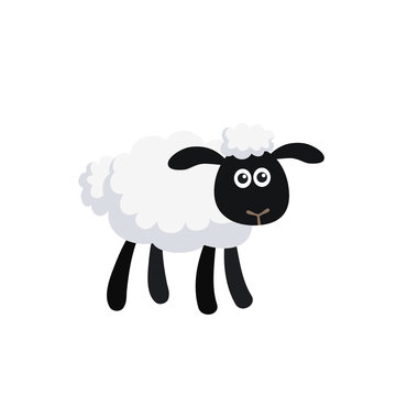 Cartoon sheep standing isolated on white background
