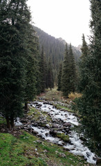 Altyn-Arashan, Kyrgyzstan