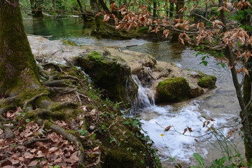 Rivière 11