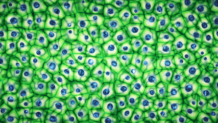 Embryonic bright green stem cells colony under a microscope. Cellular therapy and research of regeneration and disease treatment in 3D illustration. Biology and medicine of human body concept . 4K