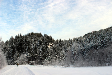 Winter country panorama
