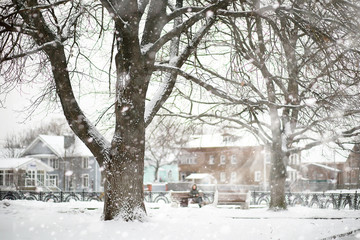 Winter landscape of country fields and roads