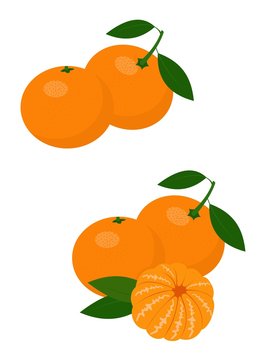 Mandarines, tangerine, clementine with leaves isolated on white background. Citrus fruit. Raster Illustration