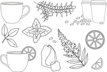 Cup of hot tea, cup of herbal tea. Various herbal tea ingredients collection over white background. Rasterillustration set.