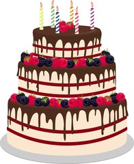 Three-tiered wedding or birthday cake in chocolate, with paspberries and blueberries isolated on a white background. Raster illustration