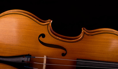 Violin music instrument closeup isolated on black © Irina Ukrainets