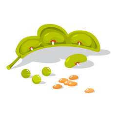 Fresh legumes. Natural organic bean. Vegetarian salad