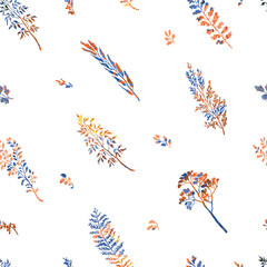 Fototapeta na wymiar Seamless pattern with herbs, plants and flowers
