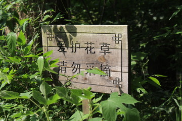 sign in park