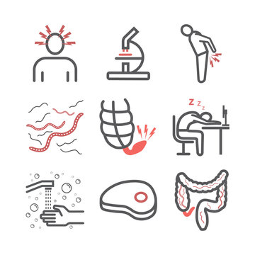 Tapeworms. Symptoms. Line Icons Set. Vector Signs For Web Graphics.